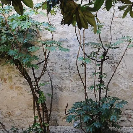 Apartment Lungarno Garden Florence